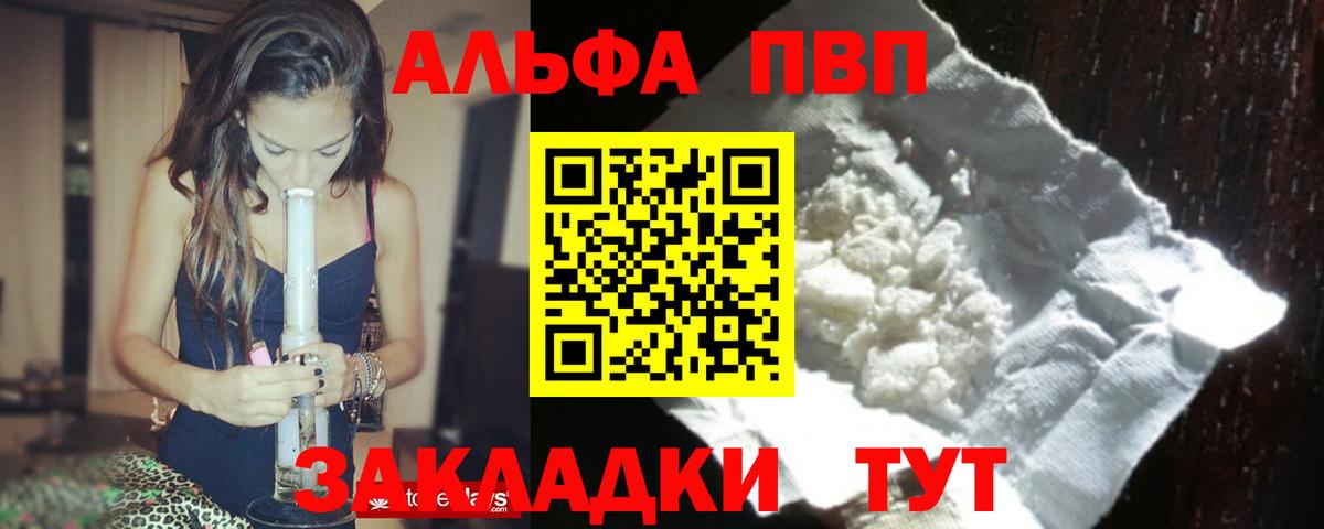 Alfa_PVP СК Сосновый Бор